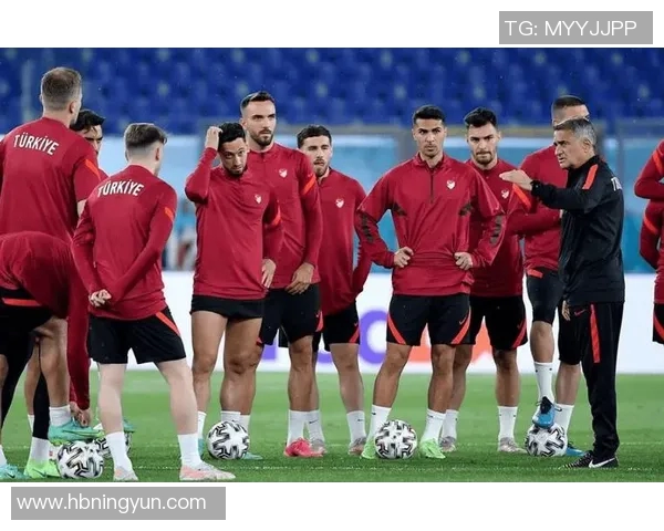 土耳其国家队足球明星的辉煌历程与未来展望